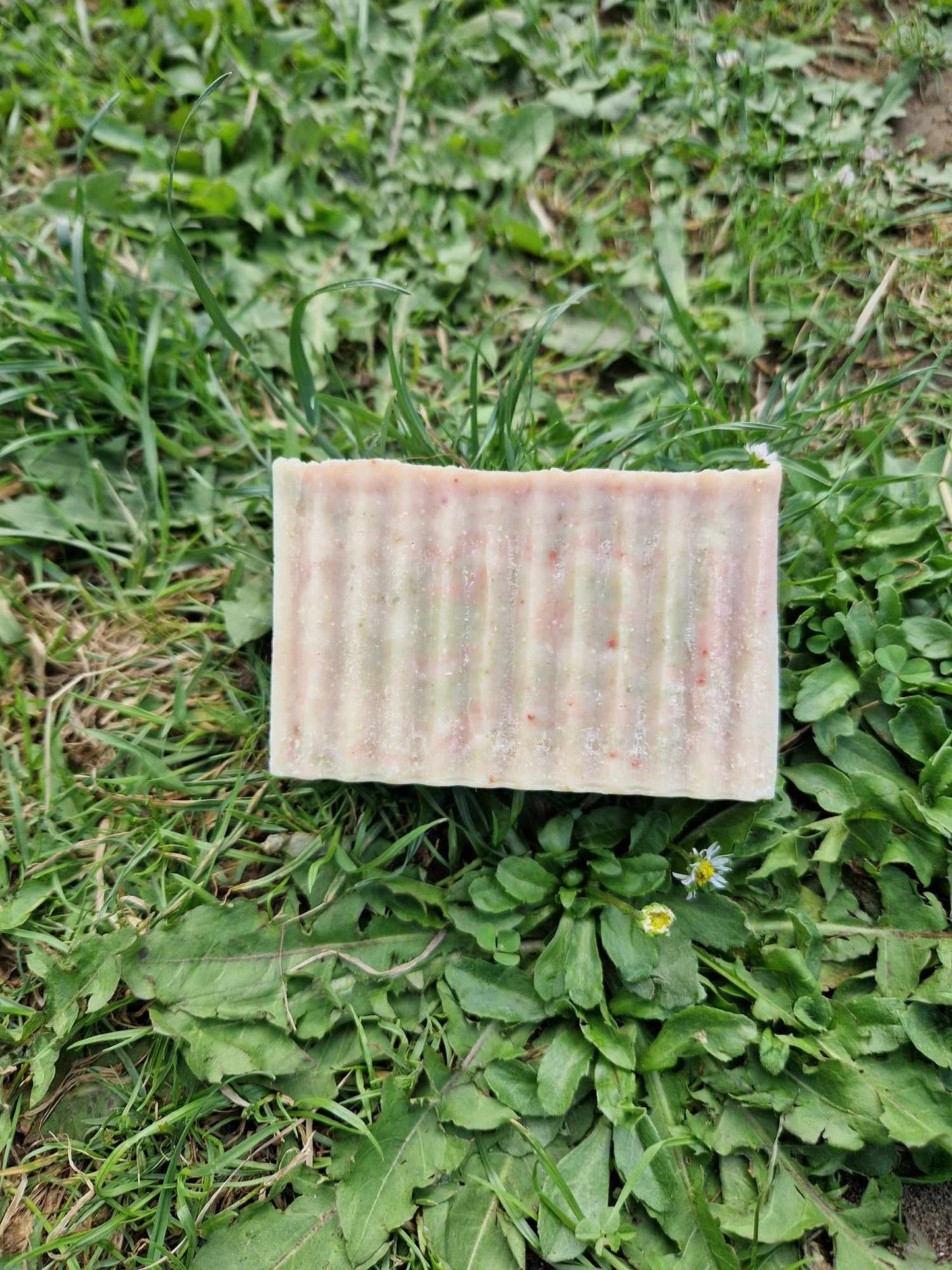 Deive Handmade Natural Artisan Fruit Soap bars fresh fruits vegan, eco friendly