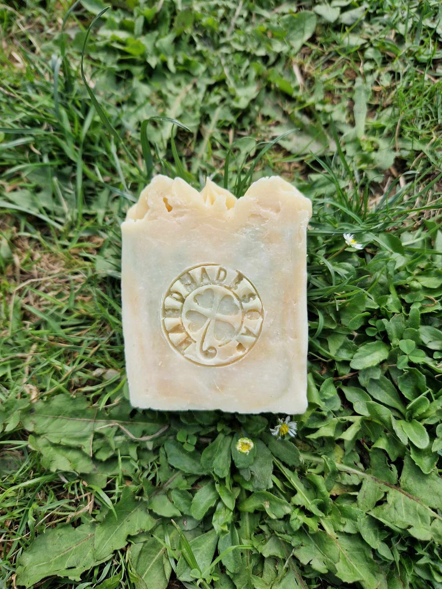 Deive Handmade Natural Artisan Fruit Soap bars fresh fruits vegan, eco friendly