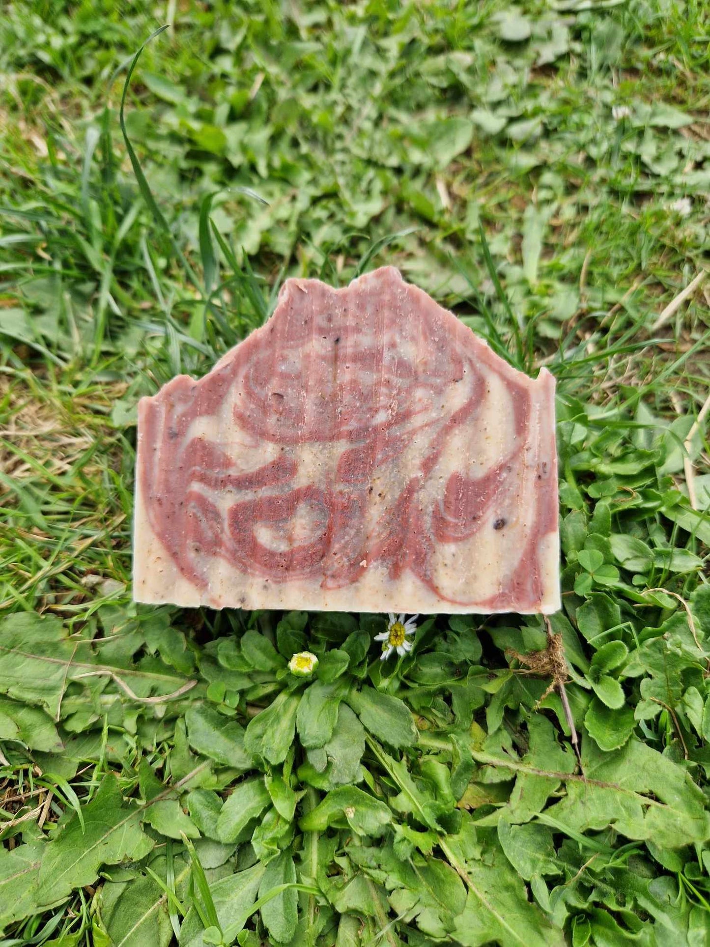 Deive Handmade Natural Artisan Fruit Soap bars fresh fruits vegan, eco friendly